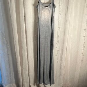 SKIMS Silver Maxi Dress
